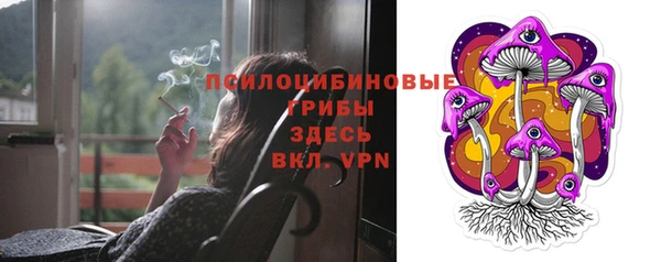 mdpv Бородино