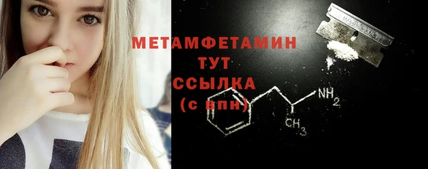 шишки Аша