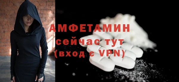 шишки Аша