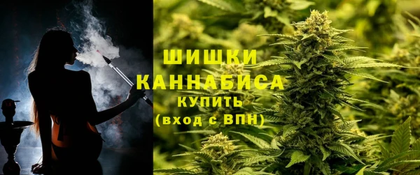 прущие грибы Богородск
