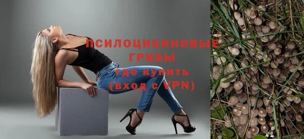 прущие грибы Богородск