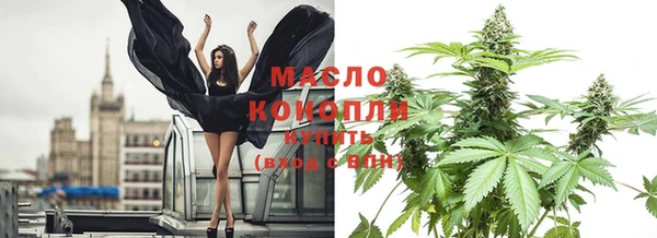 mdpv Бородино