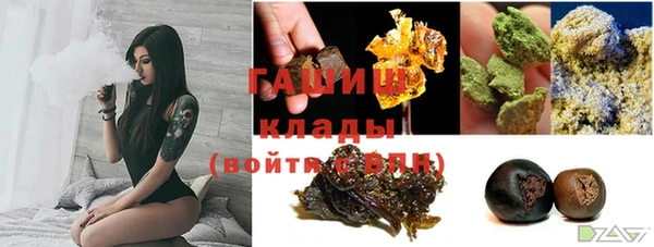 прущие грибы Богородск