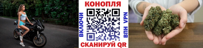 Каннабис семена  hydra ссылки  Горняк  наркота 